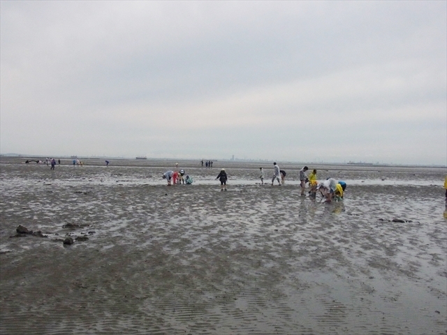 見渡す限りひがた。海はまったく見えません