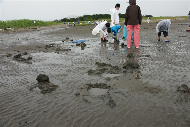 そこらじゅうを掘っている班もいました