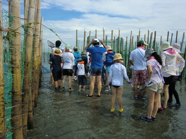 みんな早くすだてに入りたくてウズウズしています