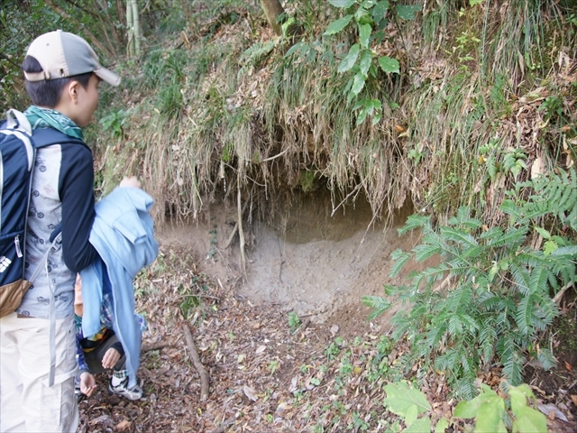 大きな「蟻地獄」です
