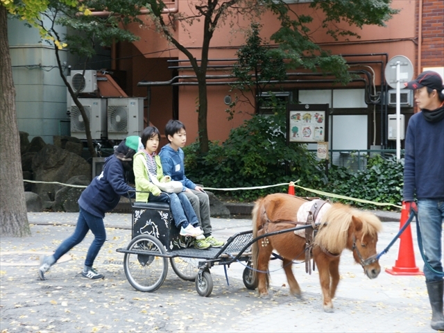 ポニー馬車