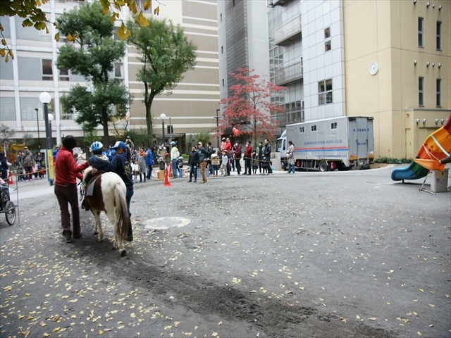 地面には何十周も歩いてくれた跡が