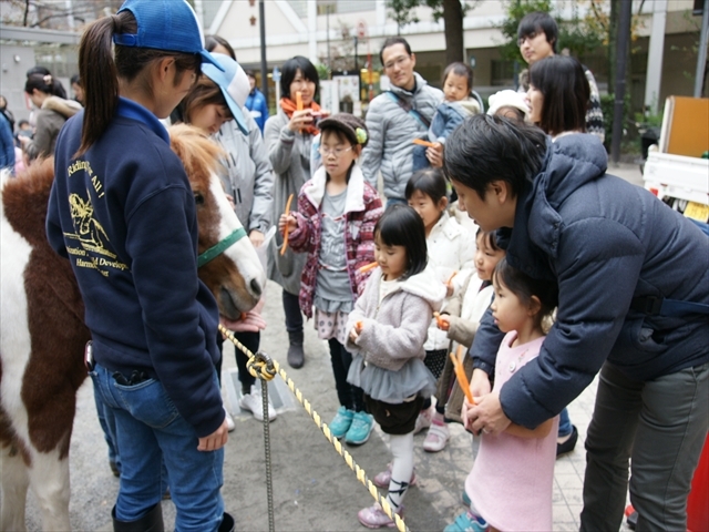 最後はみんなで人参をプレゼント