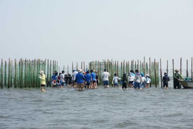 すだてに着く頃には海面は膝下に