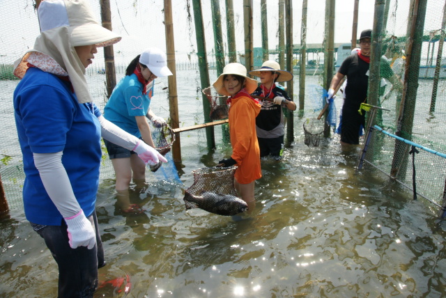 角に追い込みつつ網で確保!!