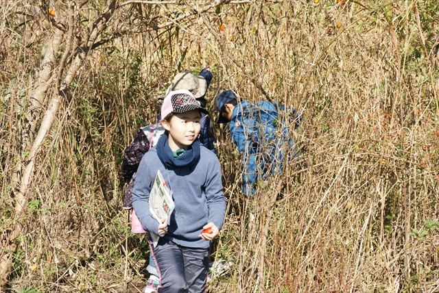 ここでも木の実を積んでいました