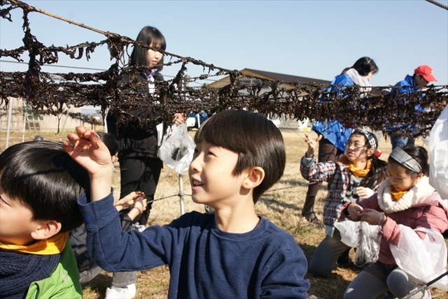 摘んだ海苔を食べると適度な塩加減で美味しかったです